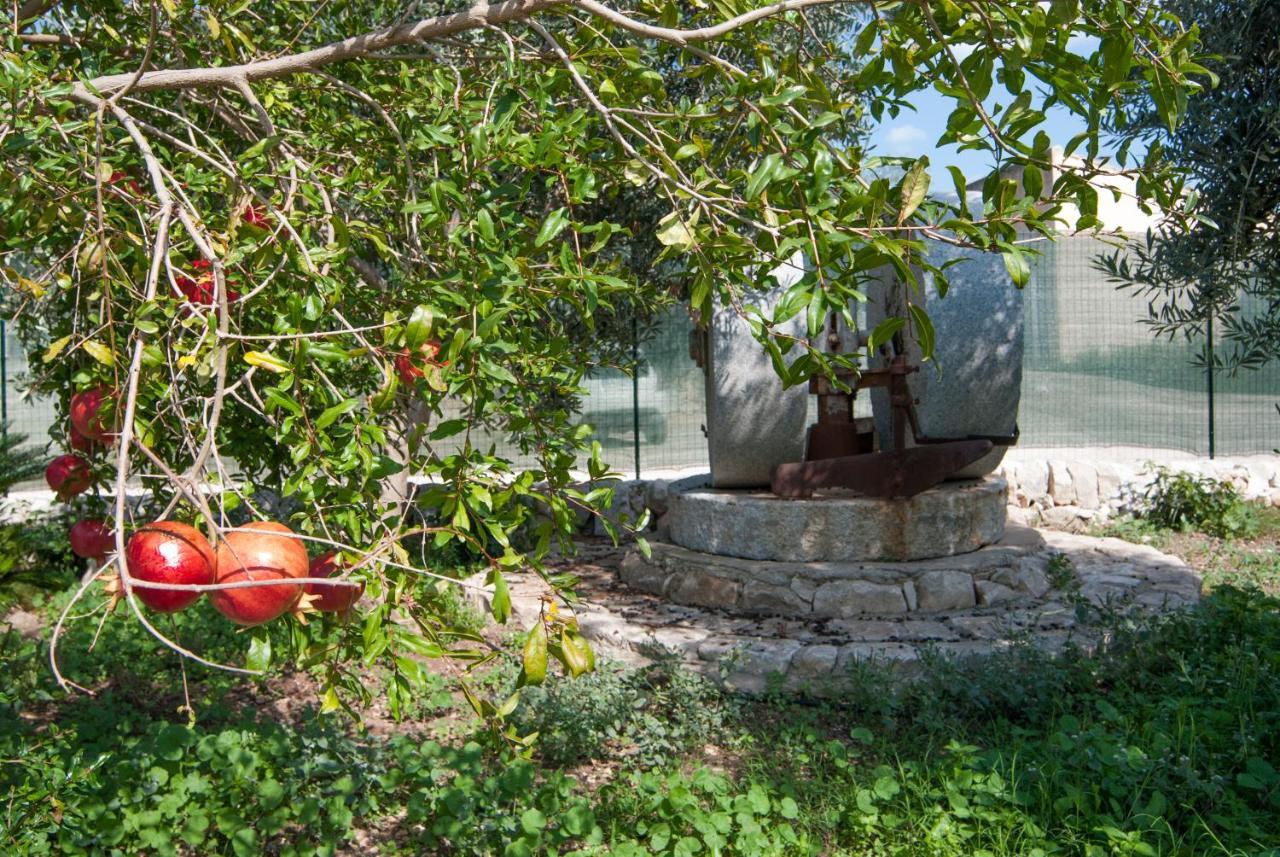 Agriturismo Al Casale 多娜佳塔 外观 照片